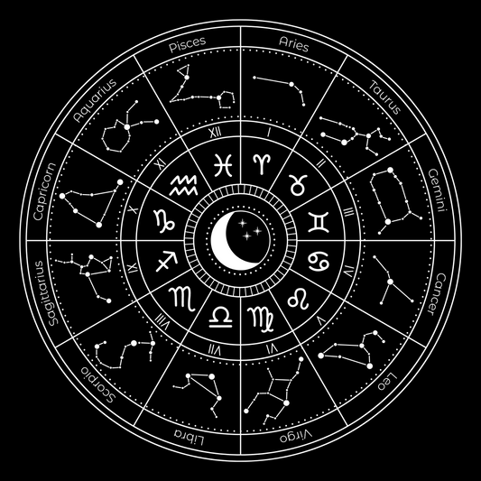 Meet The Zodiac
